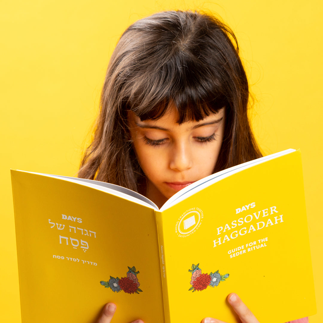 Passover in a Box™ - Impact