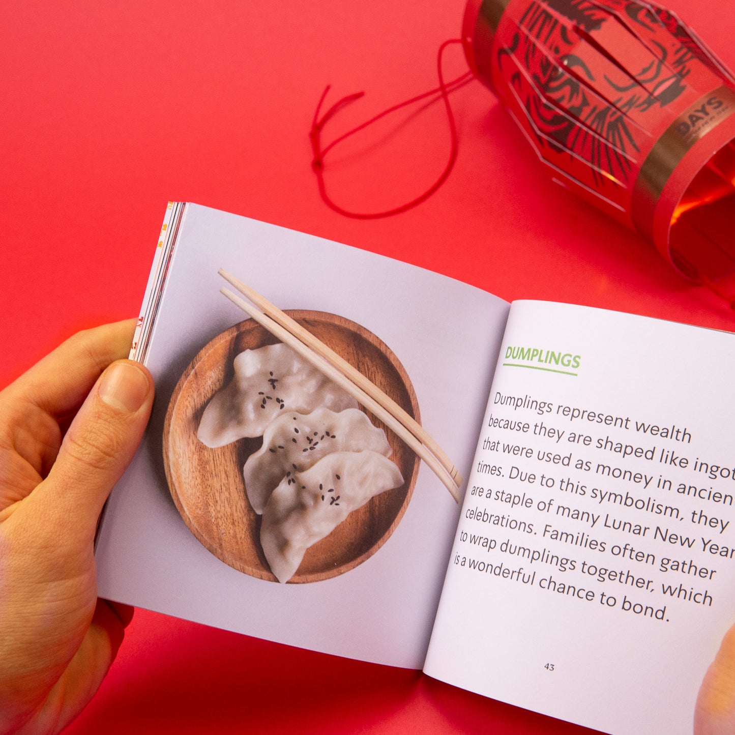 Lunar New Year Guide Book