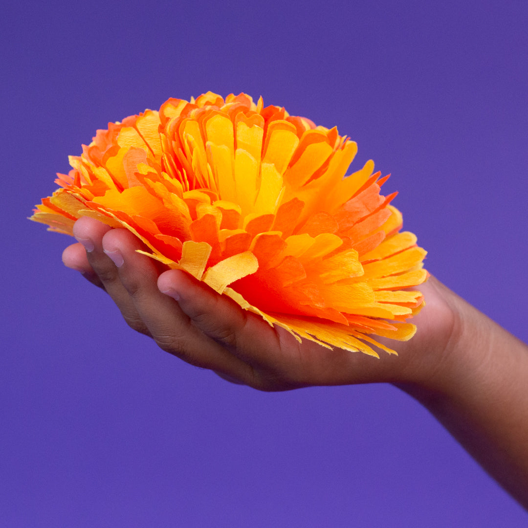Marigold Flowers (7857253089518)