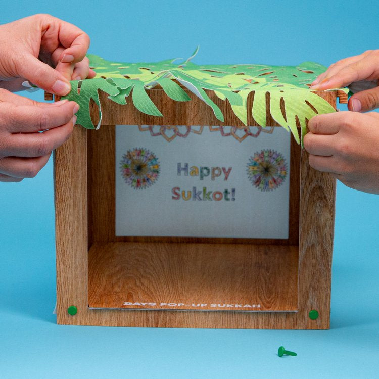 Wooden Pop-Up Sukkah (7855775744238)