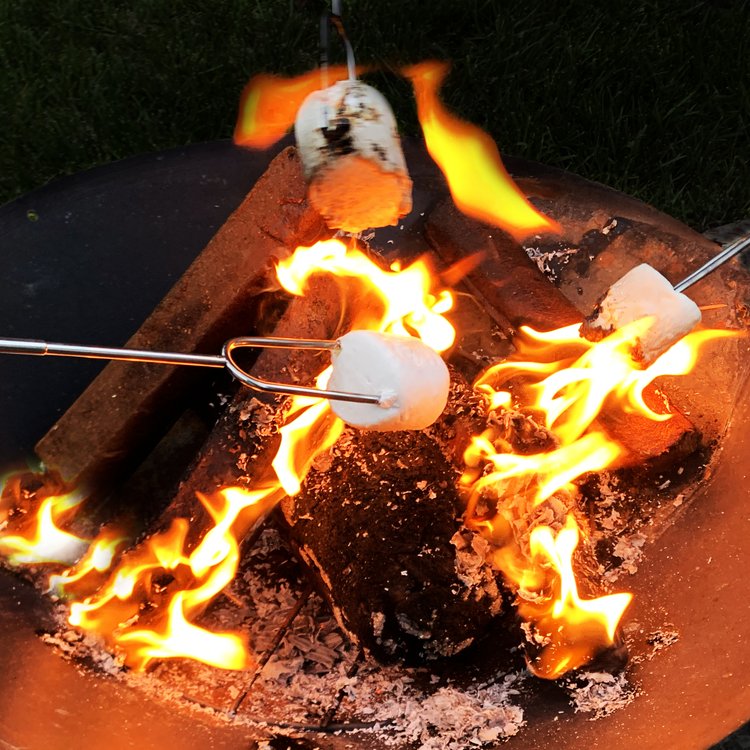 Roasting Stick