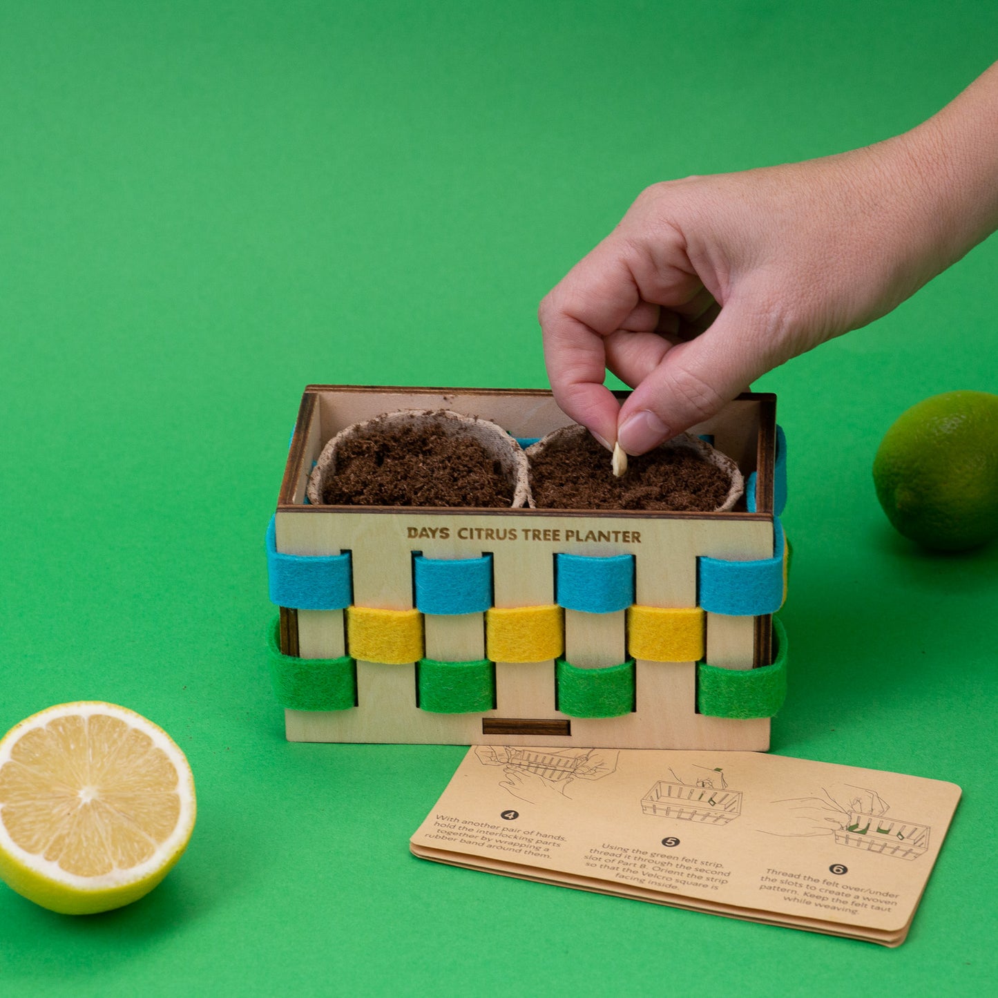 Citrus Tree Planter (7495356907758)