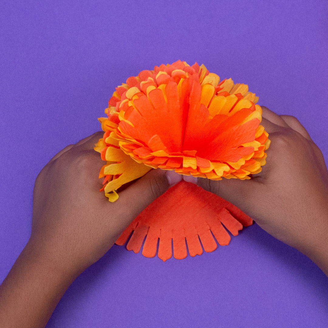 Marigold Flowers (7857253089518)