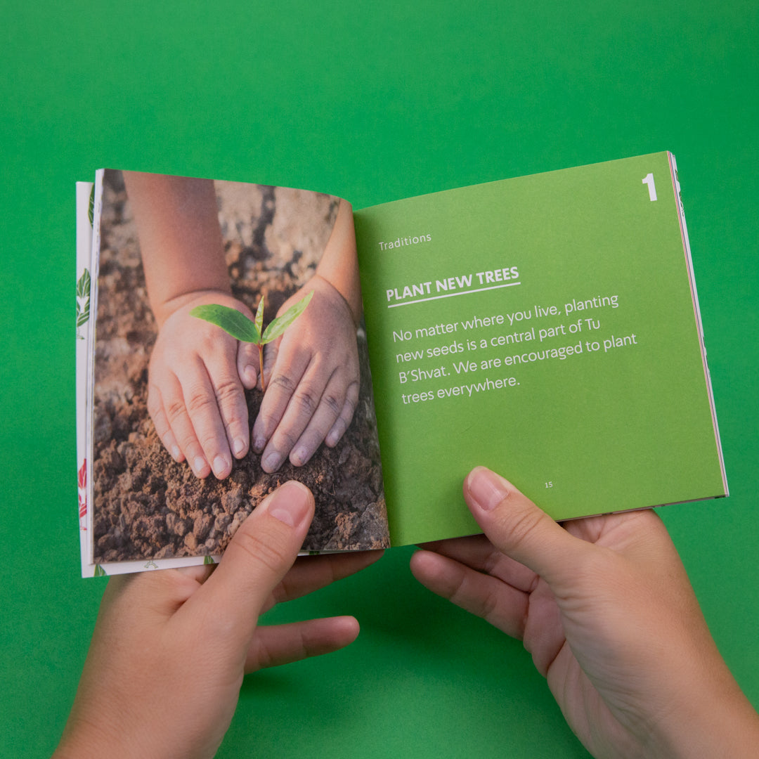 Tu B'Shavt Guide Book (7857499078894)
