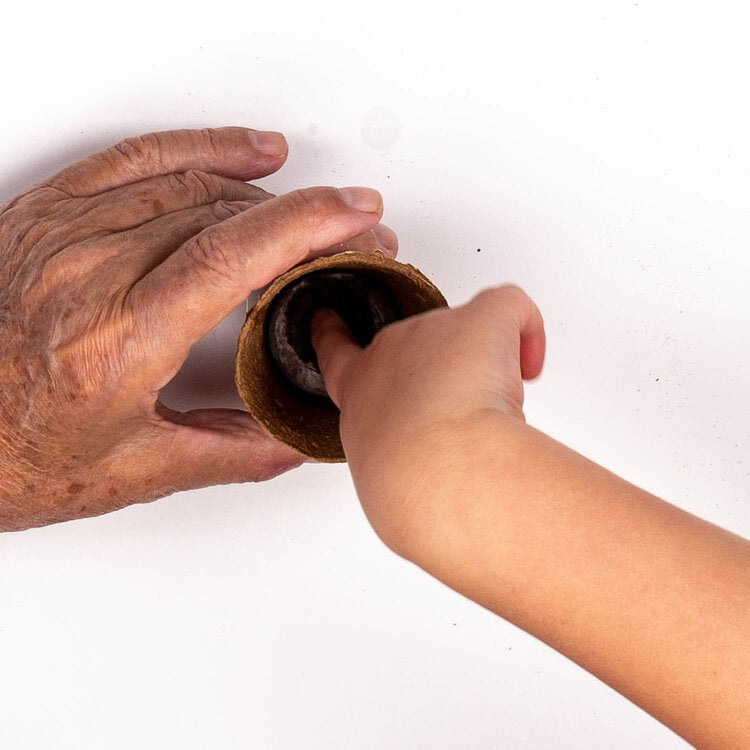 Plant Your Own Herb Plants