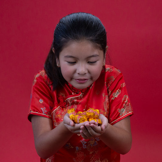 Make-Your-Own Chocolate Yuanbao