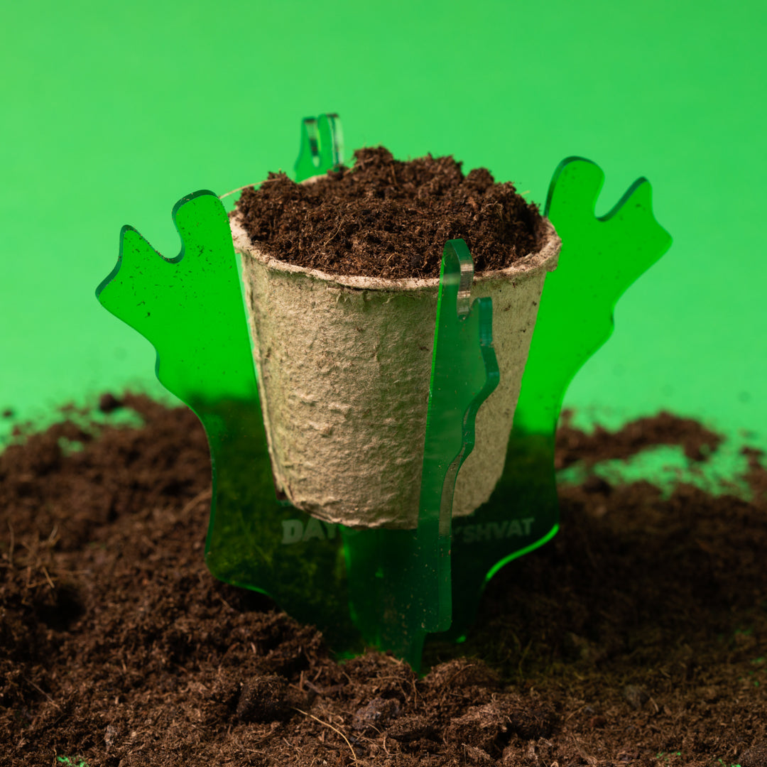 Planting Buds