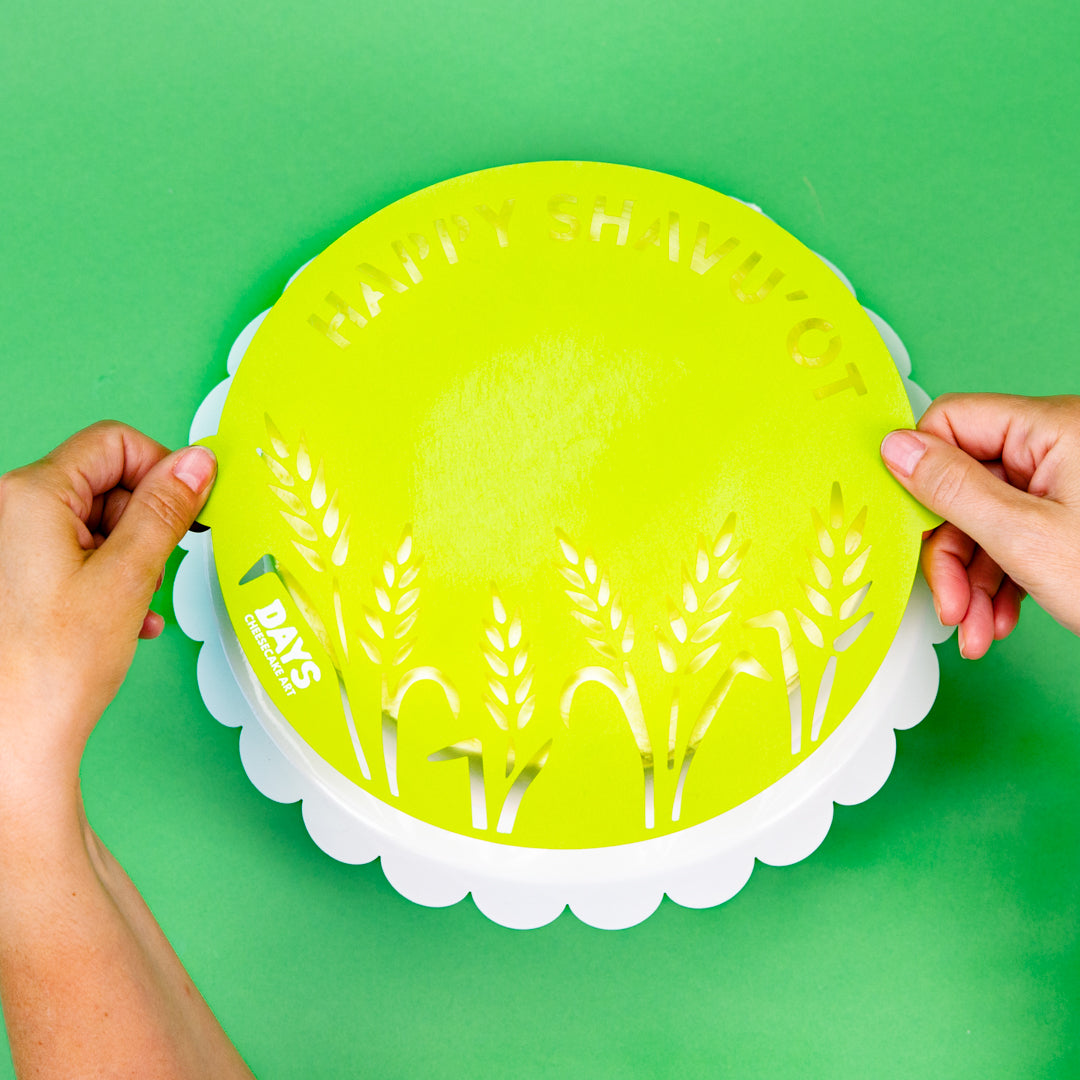 Decorate a Cheesecake (7857175101678)
