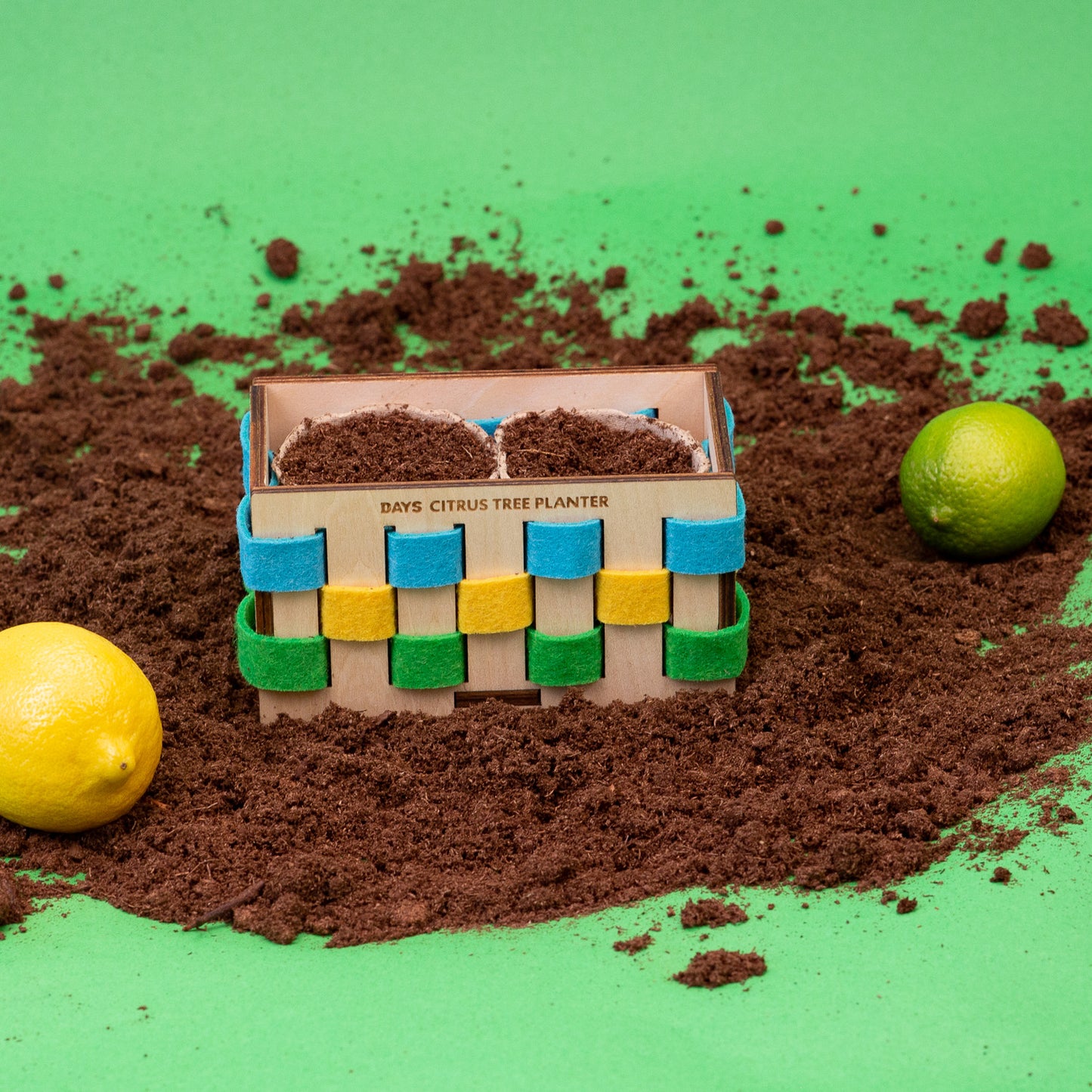 Citrus Tree Planter (7495356907758)